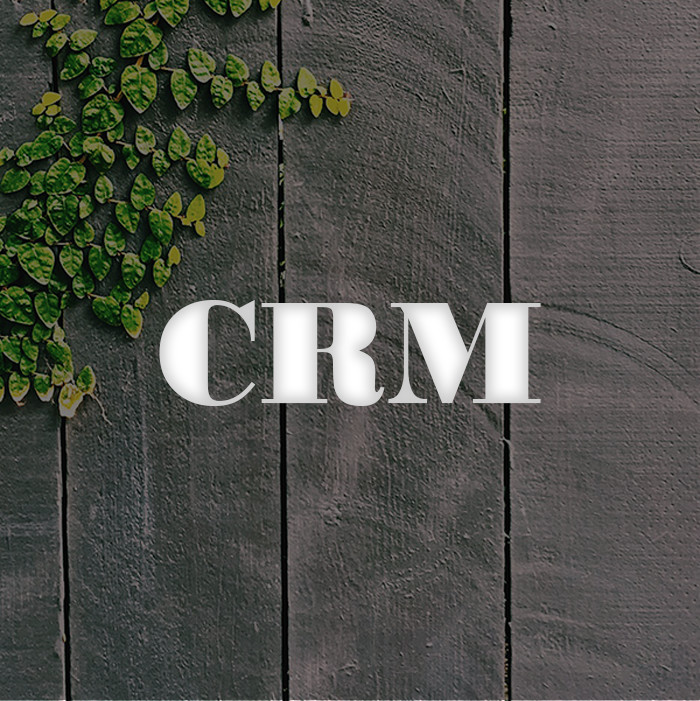 crm-the-little-things.jpg